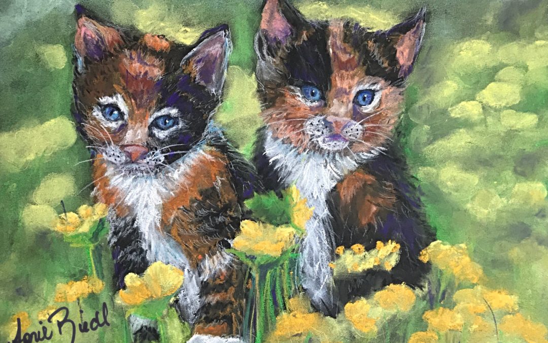 Spring Kittens