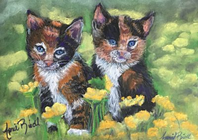 Spring Kittens