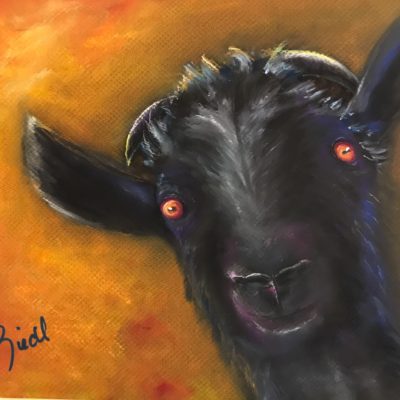 Hypnotic Goat