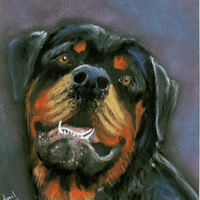 Rott Portrait