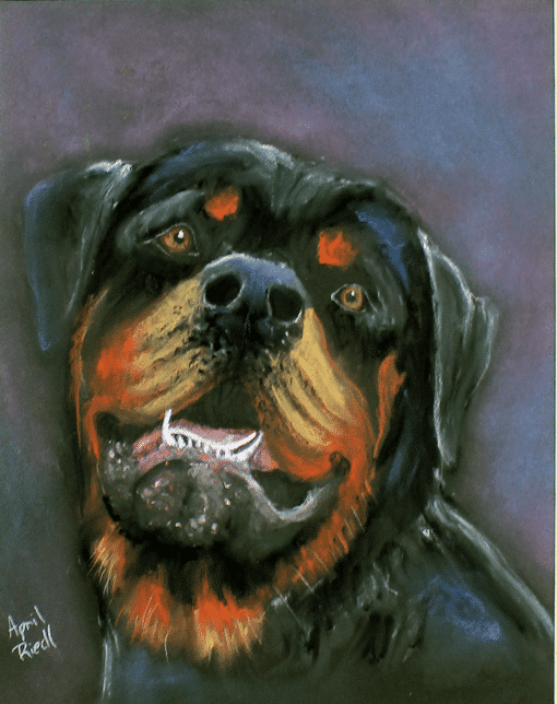 Rott Portrait