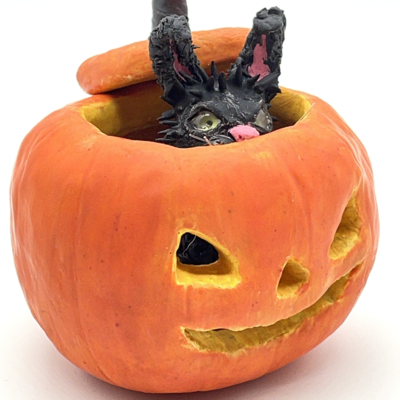 Black furry bunny hiding in a pumpkin.